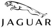 Jaguar | جگوار