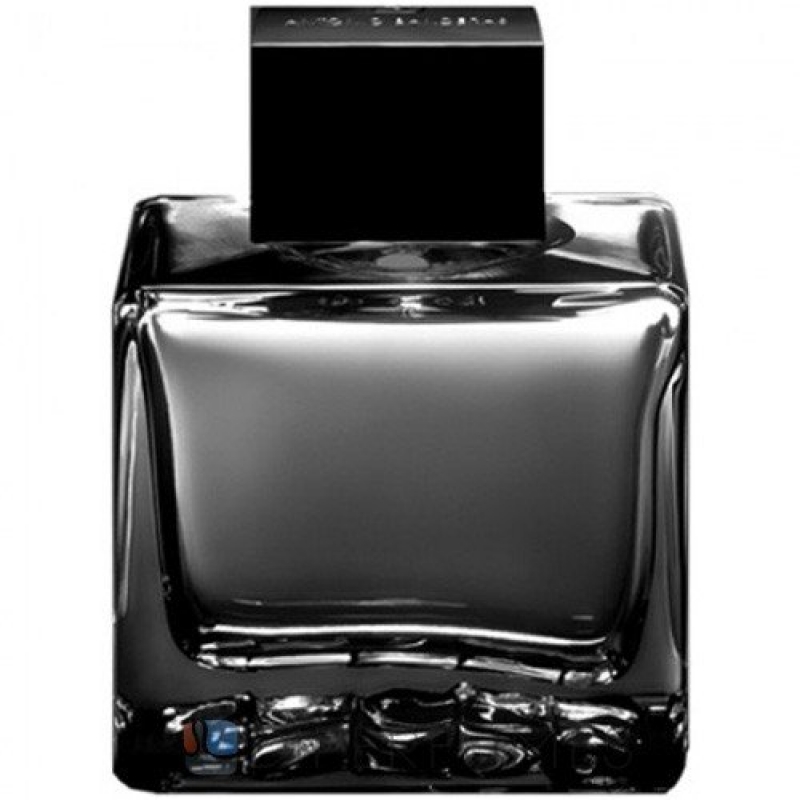 Seduction in Black-سداکشن این بلک