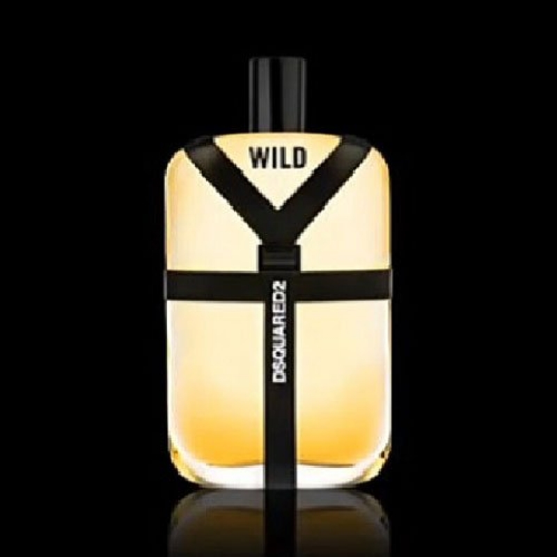 Wild Dsquared² For Men-دسکوارد وایلد مردانه