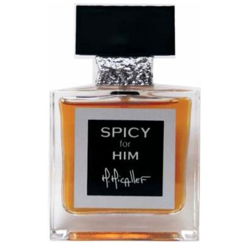 Spicy for Him for men-اسپایسی فور هیم مردانه