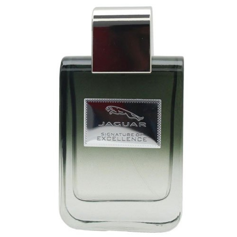 Signature Of Excellence for men-سیگنچر آف اکسلنس مردانه