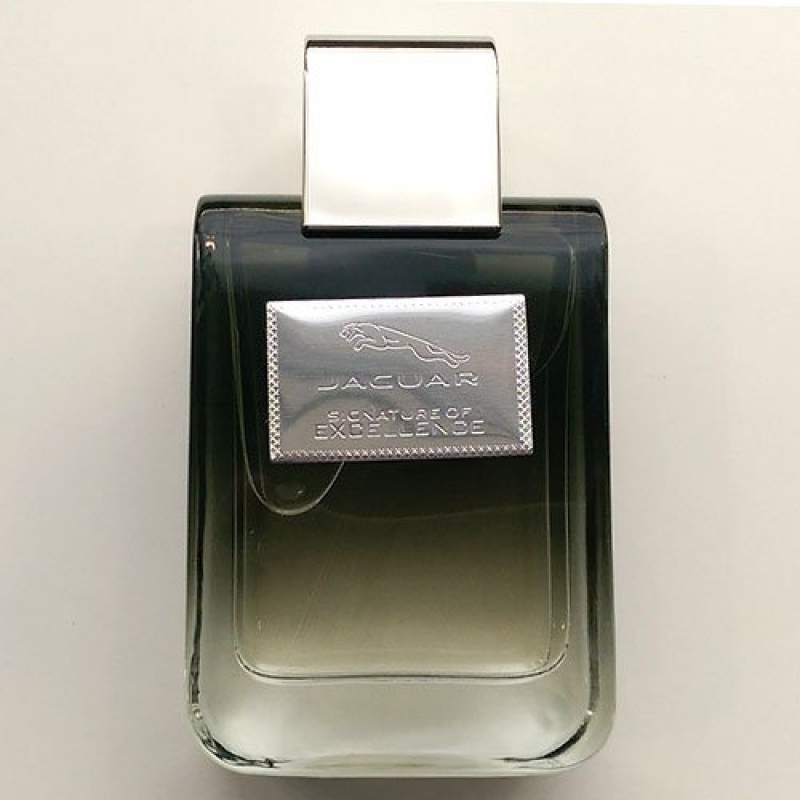 Signature Of Excellence for men-سیگنچر آف اکسلنس مردانه