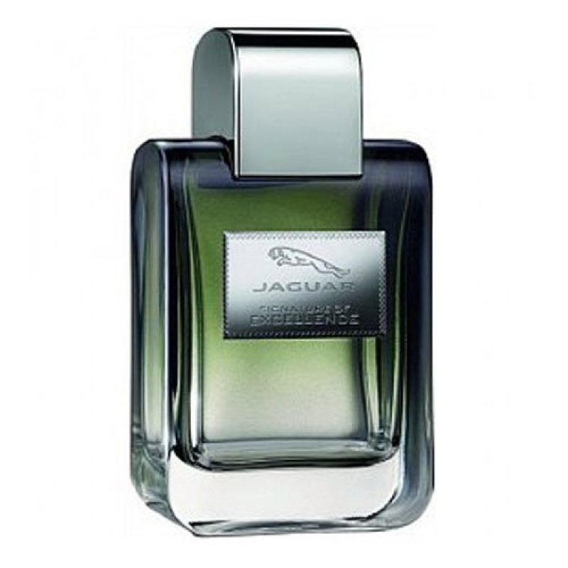 Signature Of Excellence for men-سیگنچر آف اکسلنس مردانه