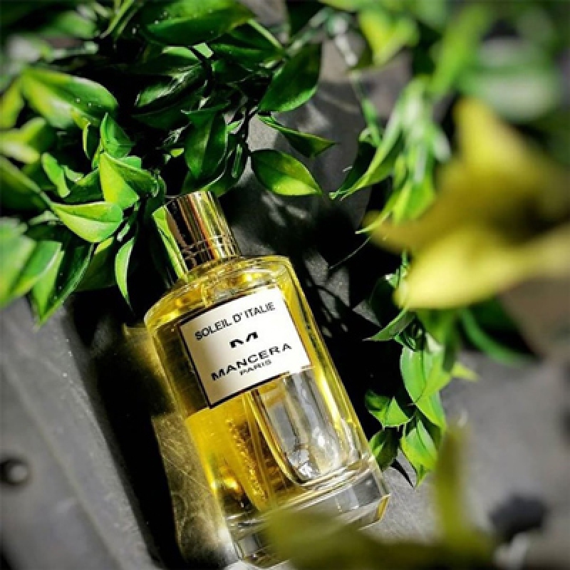 سولیل د ایتالی مانسرا زنانه و مردانه سولیل د ایتالی مانسرا زنانه و مردانه