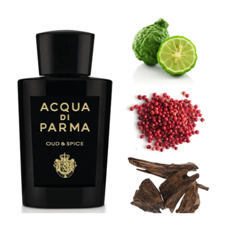 عود اند اسپایس آکوا دی پارما مردانه عود اند اسپایس آکوا دی پارما مردانه