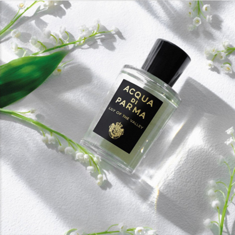 لی لی آو د ولی آکوا دی پارما زنانه و مردانه لی لی آو د ولی آکوا دی پارما زنانه و مردانه