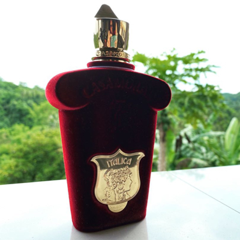 ایتالیکا کازاموراتی 2021 زرجوف زنانه و مردانه ایتالیکا کازاموراتی 2021 زرجوف زنانه و مردانه