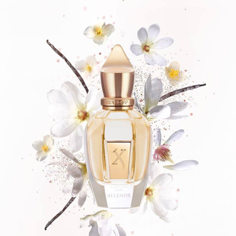 آلنده زرجوف زنانه و مردانه آلنده زرجوف زنانه و مردانه