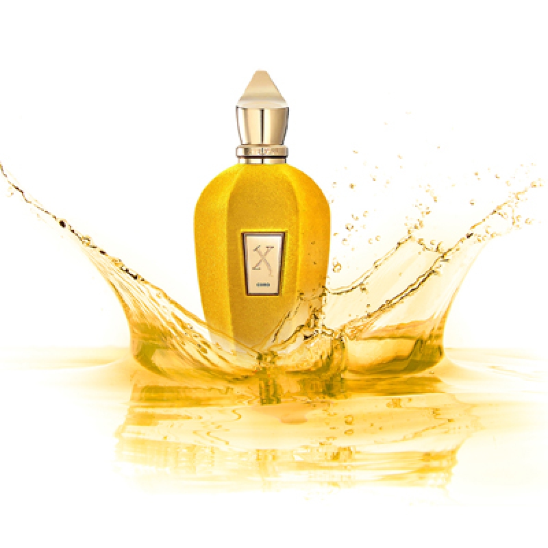 کورو (سلفریجز اکسکلوسیو) زرجوف زنانه و مردانه کورو (سلفریجز اکسکلوسیو) زرجوف زنانه و مردانه