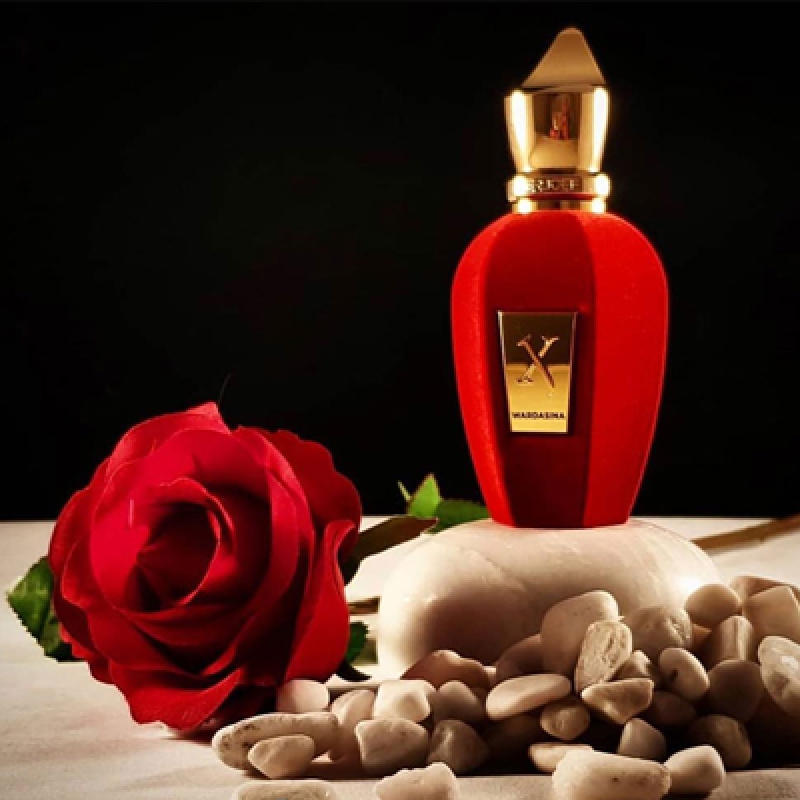 وارداسینا زرجوف زنانه و مردانه وارداسینا زرجوف زنانه و مردانه