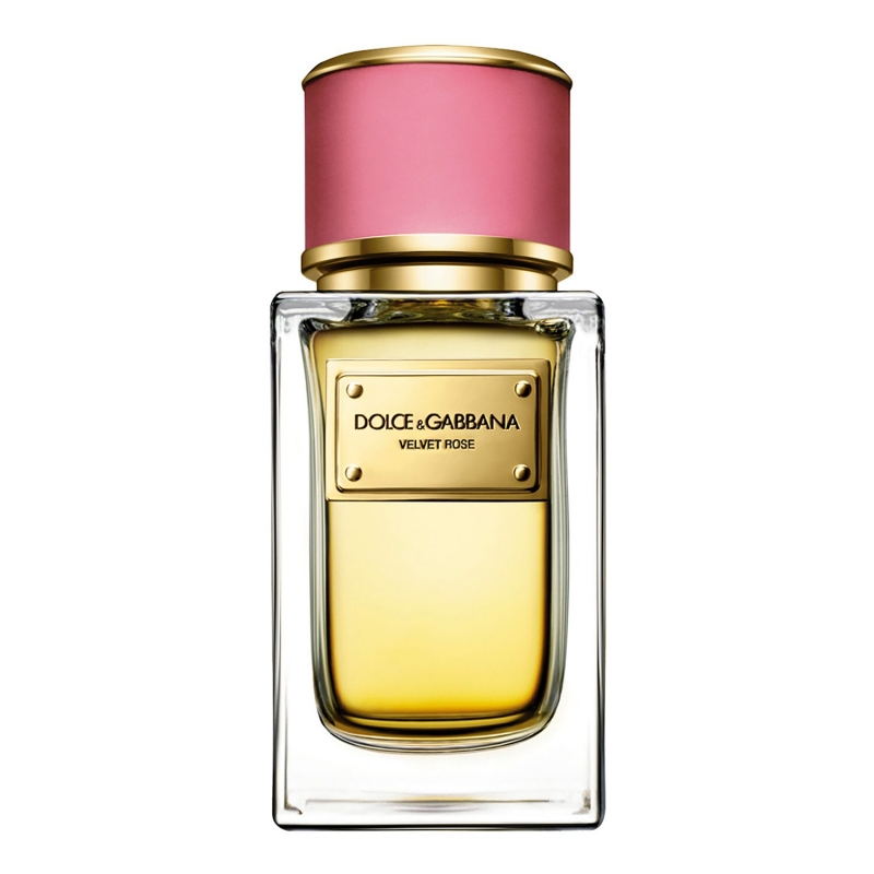 Velvet Rose Dolce & Gabbana for women-ولوت رز دولچی گابانا زنانه