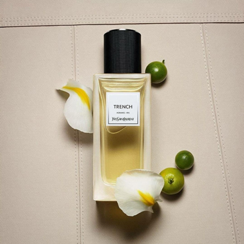 ترنچ ایو سن لورن زنانه و مردانه ترنچ ایو سن لورن زنانه و مردانه