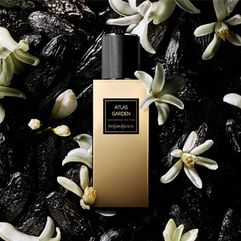 اطلس گاردن ایو سن لورن زنانه و مردانه اطلس گاردن ایو سن لورن زنانه و مردانه