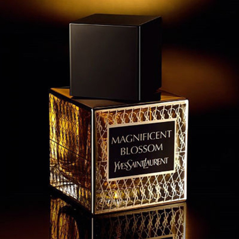 مگنیفیسنت بلوسوم ایو سن لورن زنانه و مردانه مگنیفیسنت بلوسوم ایو سن لورن زنانه و مردانه