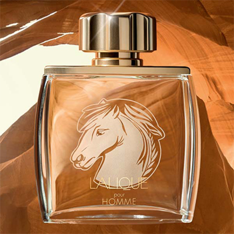 لالیک پورهوم اکوس مردانه لالیک پورهوم اکوس مردانه