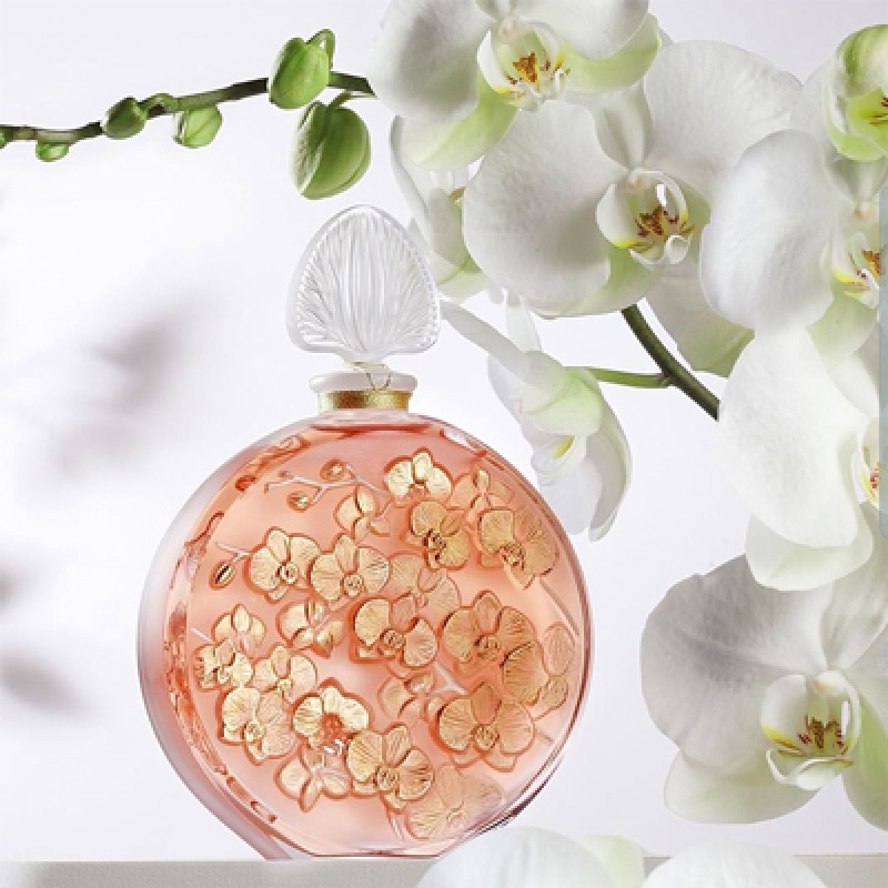 لالیک د لالیک ارکید کریستال فلاکون زنانه لالیک د لالیک ارکید کریستال فلاکون زنانه