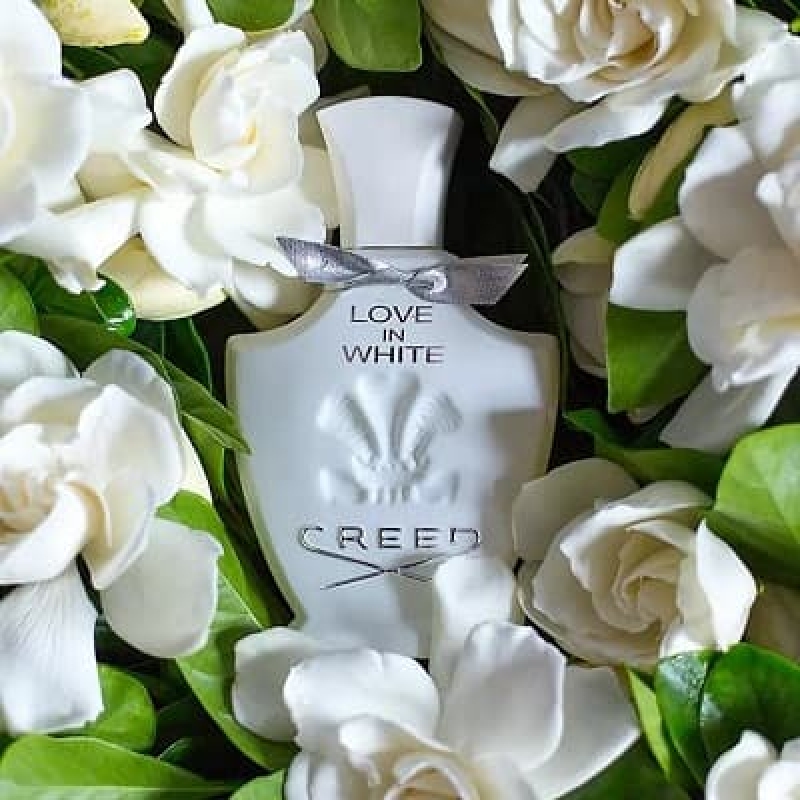 Creed Love in White-کرید لاو این وایت
